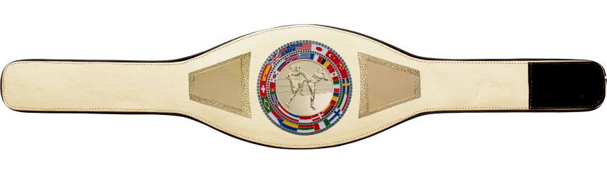 THAI BOXING CHAMPIONSHIP BELT-PROFLAG2/FLAG/G/TBOG - VARIETY OF COLOURS AVAILABLE THAI BOXING CHAMPIONSHIP BELT-PROFLAG2/FLAG/G/TBOG - VARIETY OF COLOURS AVAILABLE